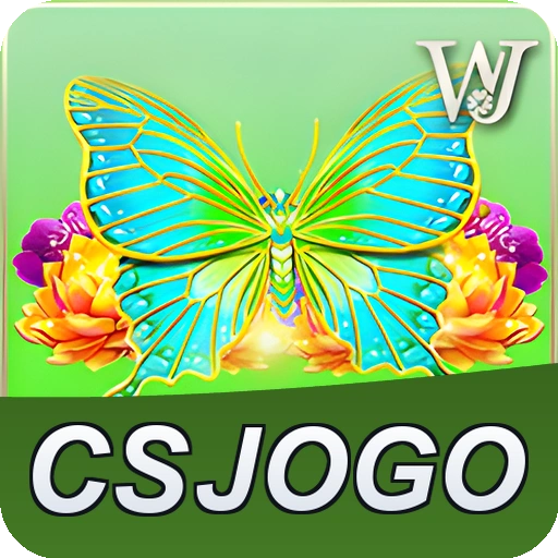 CSJOGO termos — contrato de uso e regulamento da plataforma